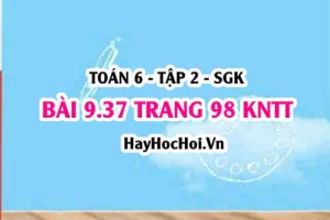 Bài 9.37 trang 98 Toán 6 Tập 2 Kết nối tri thức